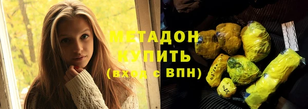 шишки Арсеньев