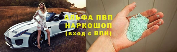 прущие грибы Аркадак
