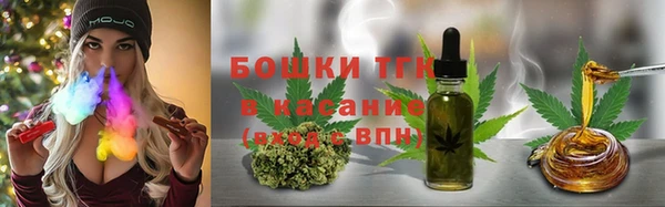 шишки Арсеньев