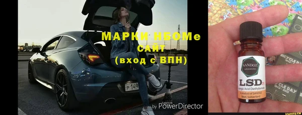 прущие грибы Аркадак