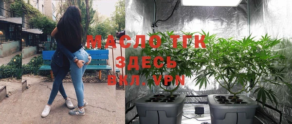 шишки Арсеньев