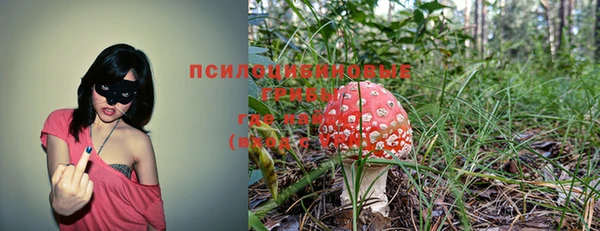 ешки Армянск