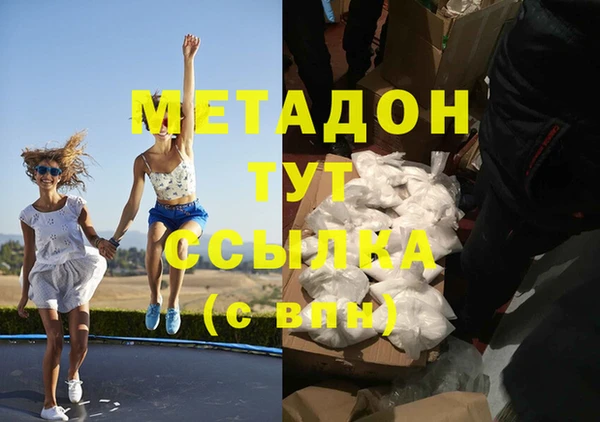 прущие грибы Аркадак
