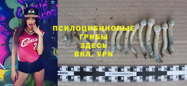 ешки Армянск