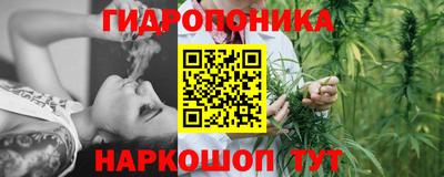 твердый Шелехов