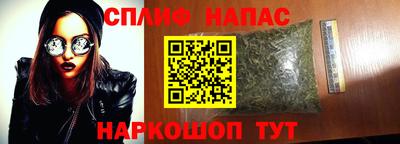 Альфа ПВП Шебекино