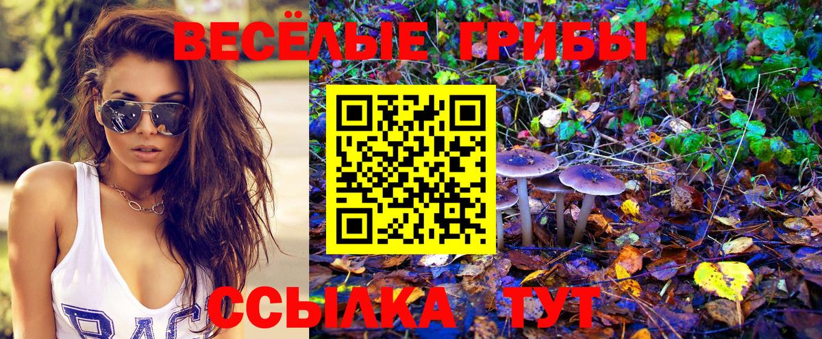 Галлюциногенные грибы Psilocybine cubensis Спасск-Дальний